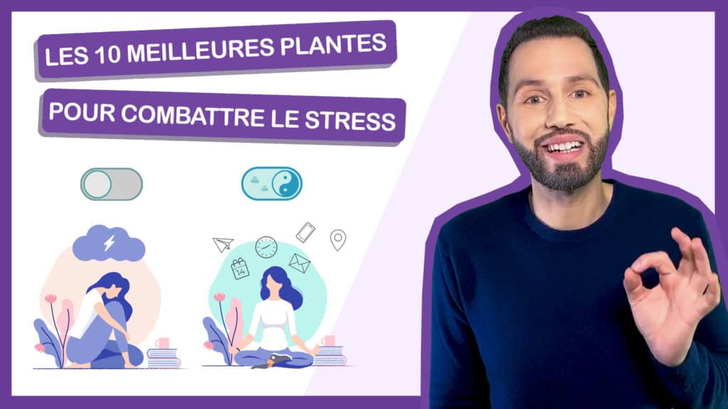 Comment combattre le stress naturellement ? 10 puissantes plantes