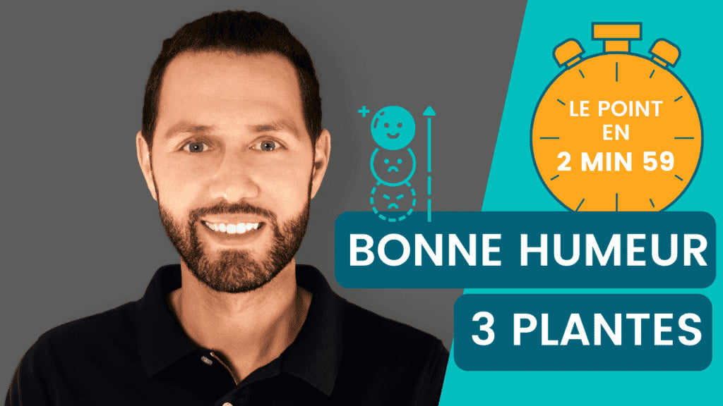 Bonne humeur : les meilleures plantes – Le point en 2m59