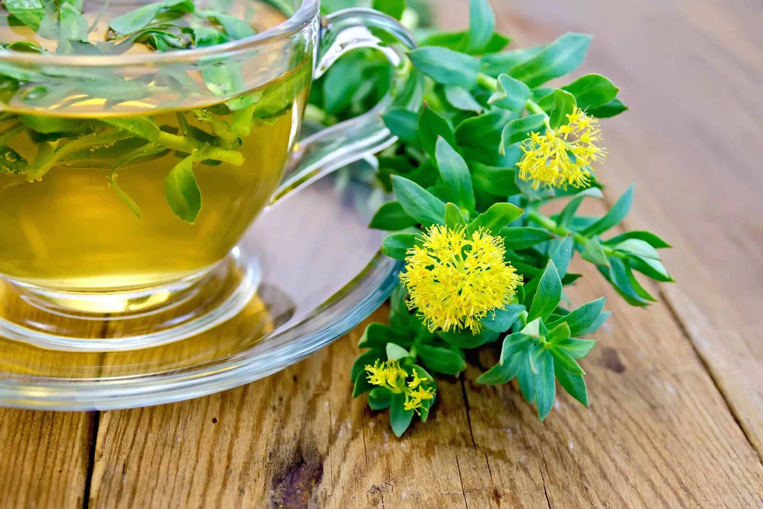 Rhodiola : danger ? Entre effets secondaires et contre-indications