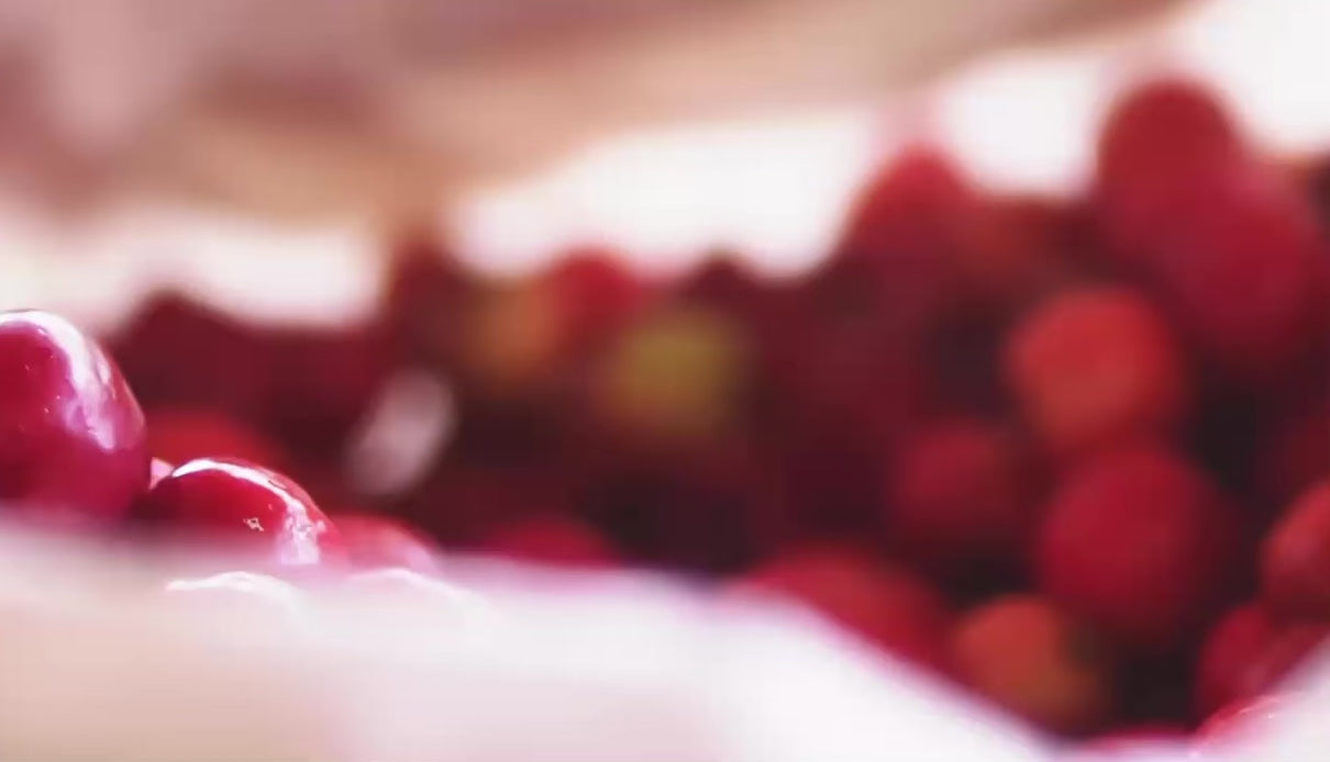 Charger la vidéo : 